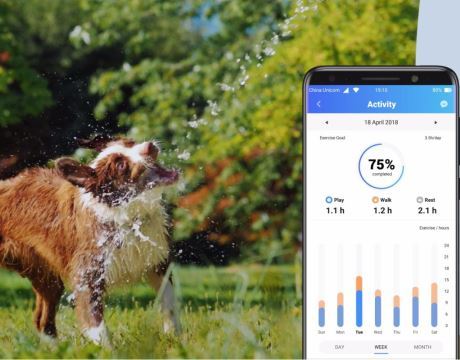 Suivi d'activité Trakmove